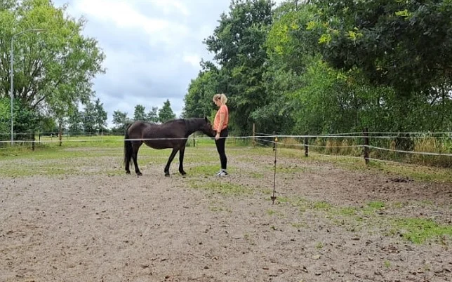 Cliënt in contact met het paard tijdens een paardencoaching sessie voor persoonlijke groei