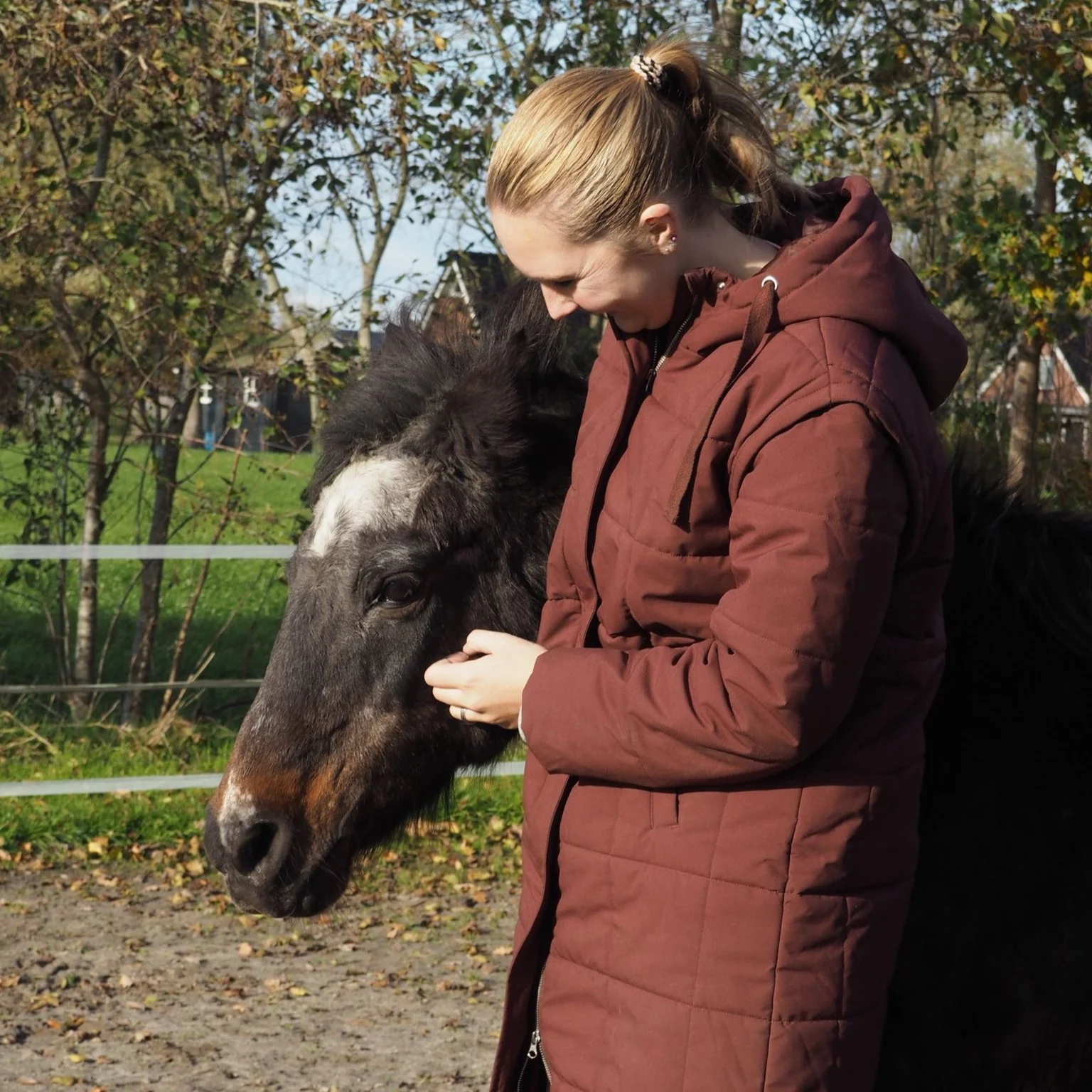Paardencoach beloont haar paard tijdens een paardencoaching sessie met persoonlijke begeleiding