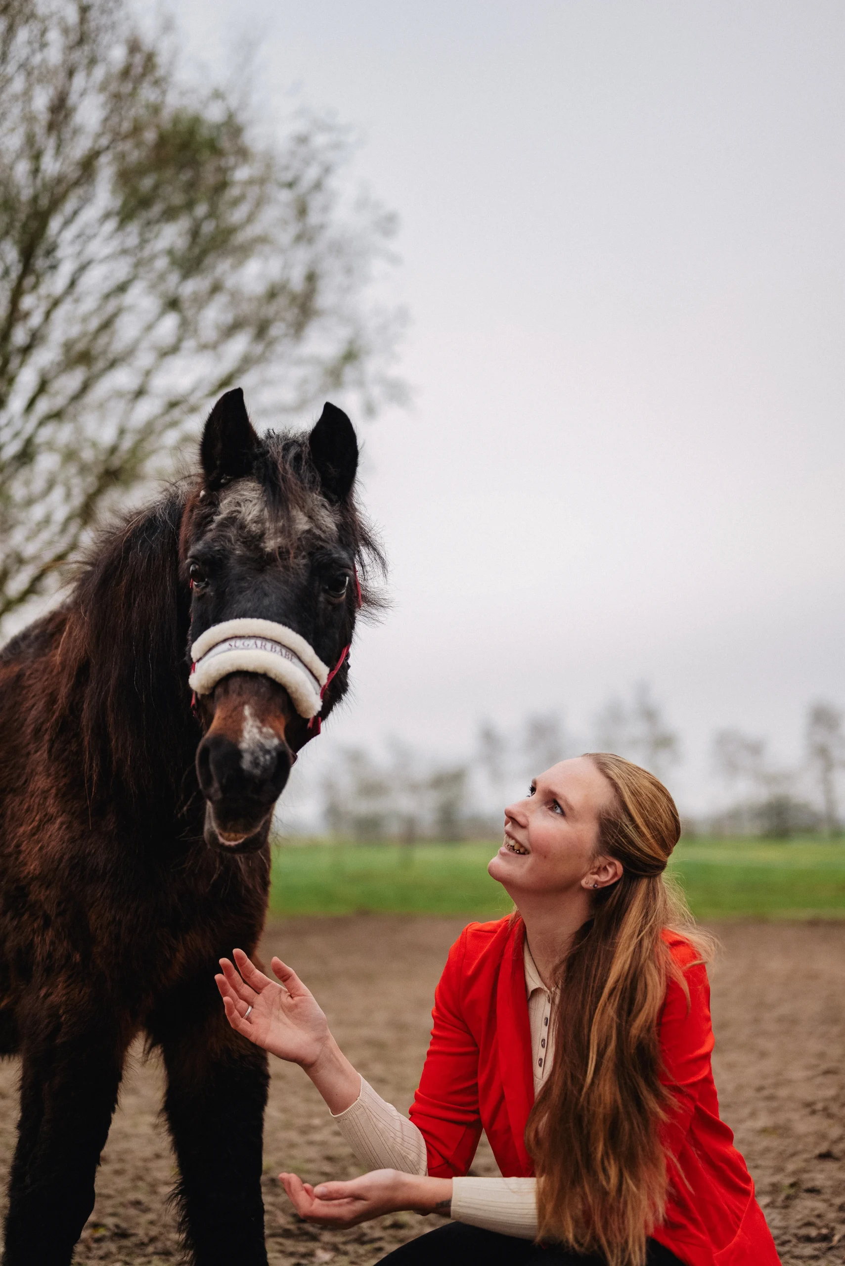 Paard en paardencoach in non-verbale communicatie tijdens een paardencoaching sessie